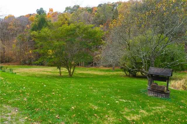 a view of a backyard with a house