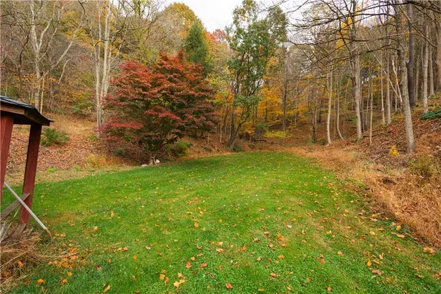 a view of empty room with trees
