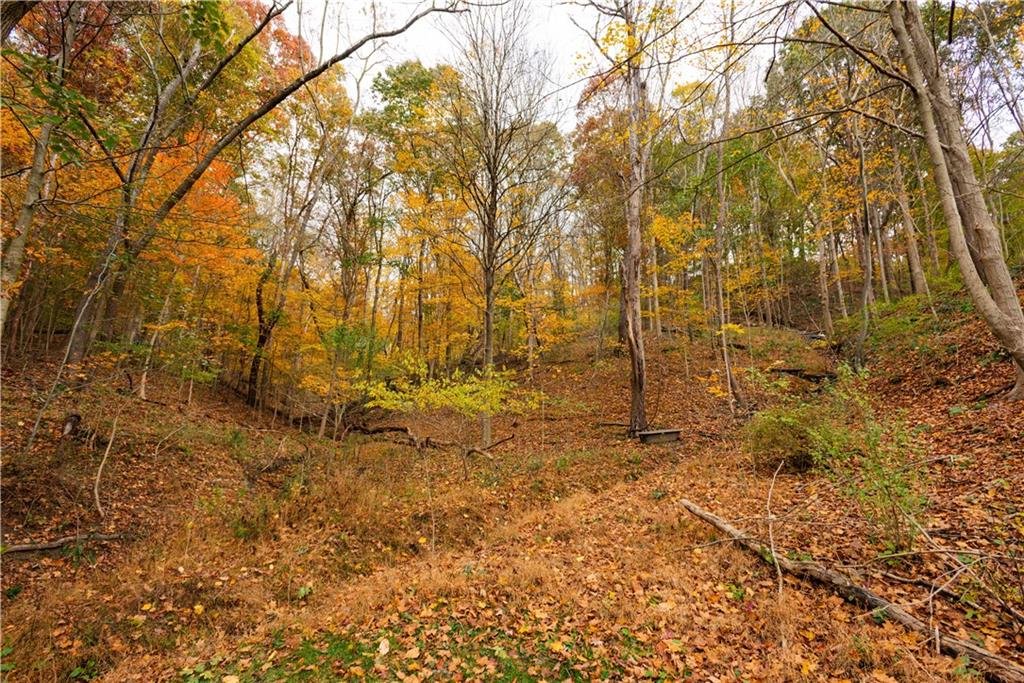 107 Cove Run Road Cheswick, PA 15024 - Photo 47 of 50