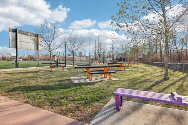 a park view with large trees
