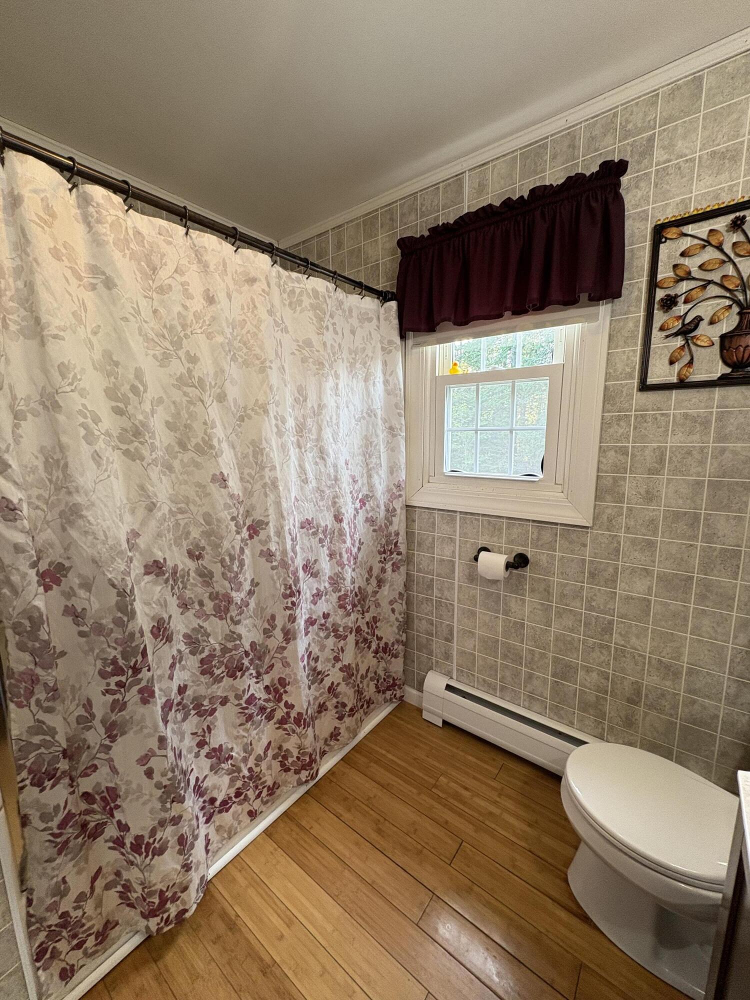 235 Main Street Springfield, ME 04487 - Photo 14 of 37 IMG_6085