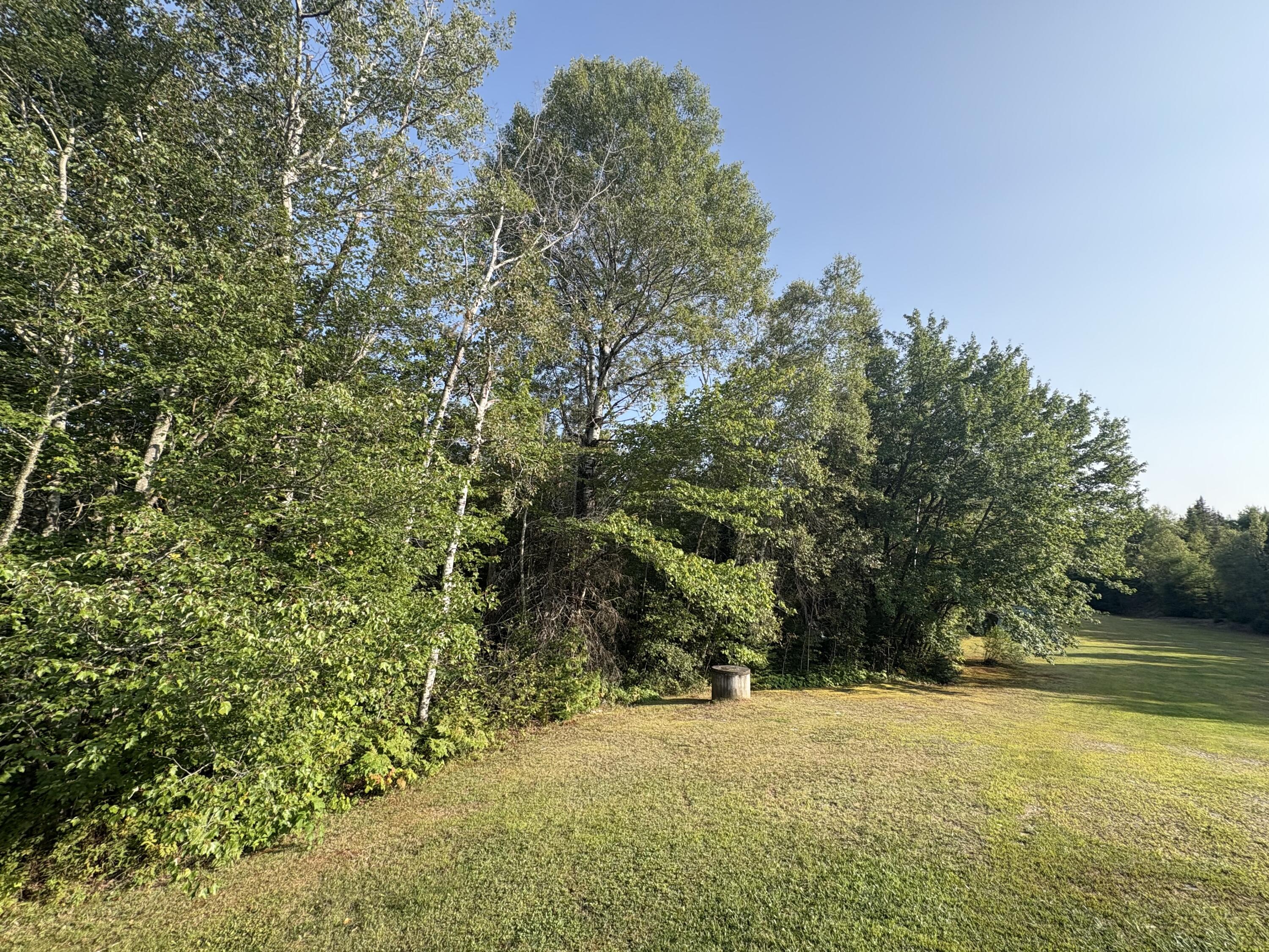 235 Main Street Springfield, ME 04487 - Photo 31 of 37 IMG_5975