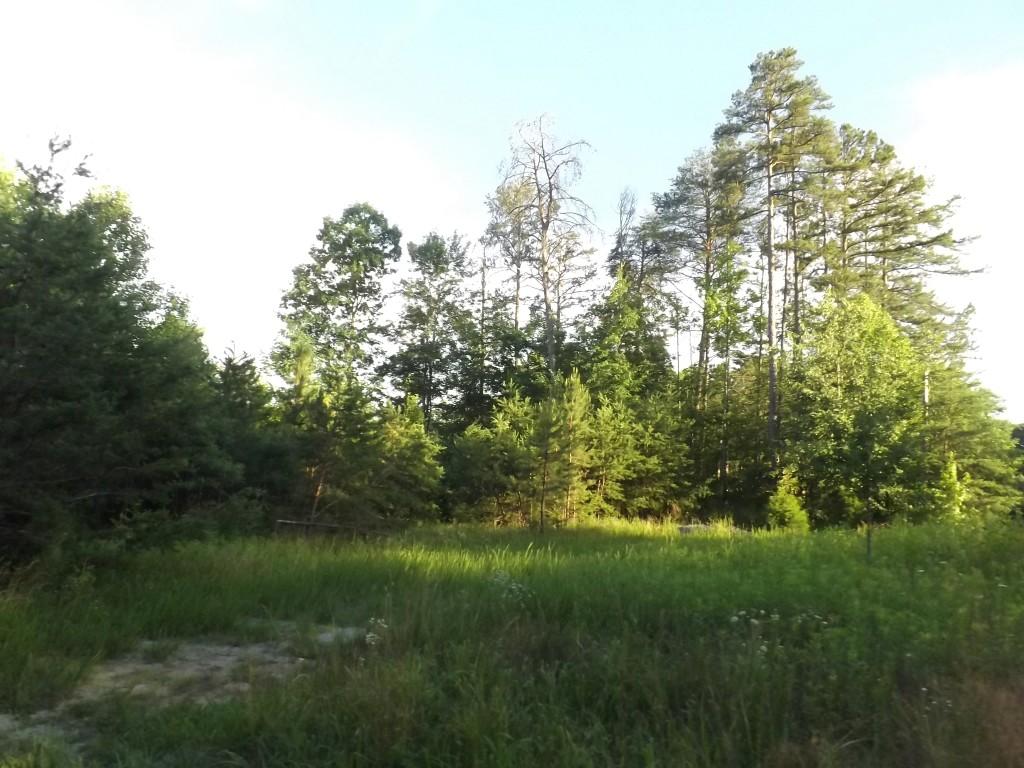 Apollo Drive Spring City, TN 37381 - Photo 1 of 25 DSCF4288 (Medium)