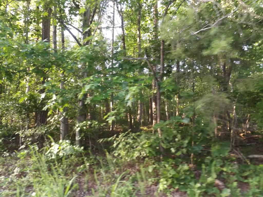 Apollo Drive Spring City, TN 37381 - Photo 2 of 25 DSCF4279 (Medium)