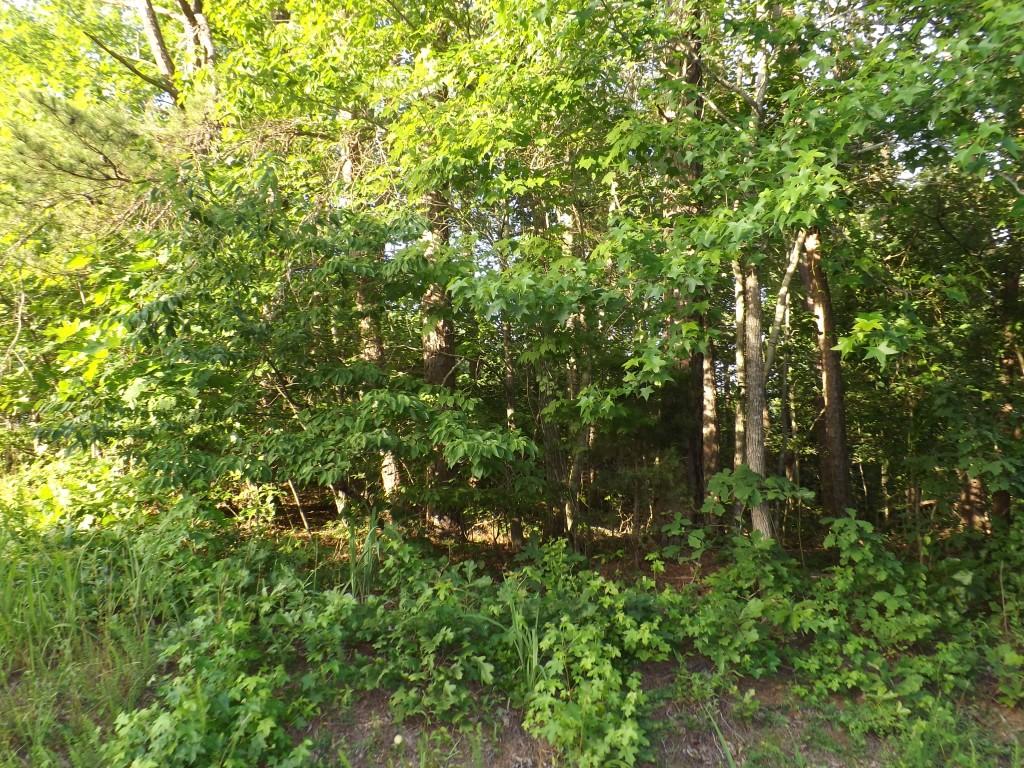 Apollo Drive Spring City, TN 37381 - Photo 4 of 25 DSCF4280 (Medium)
