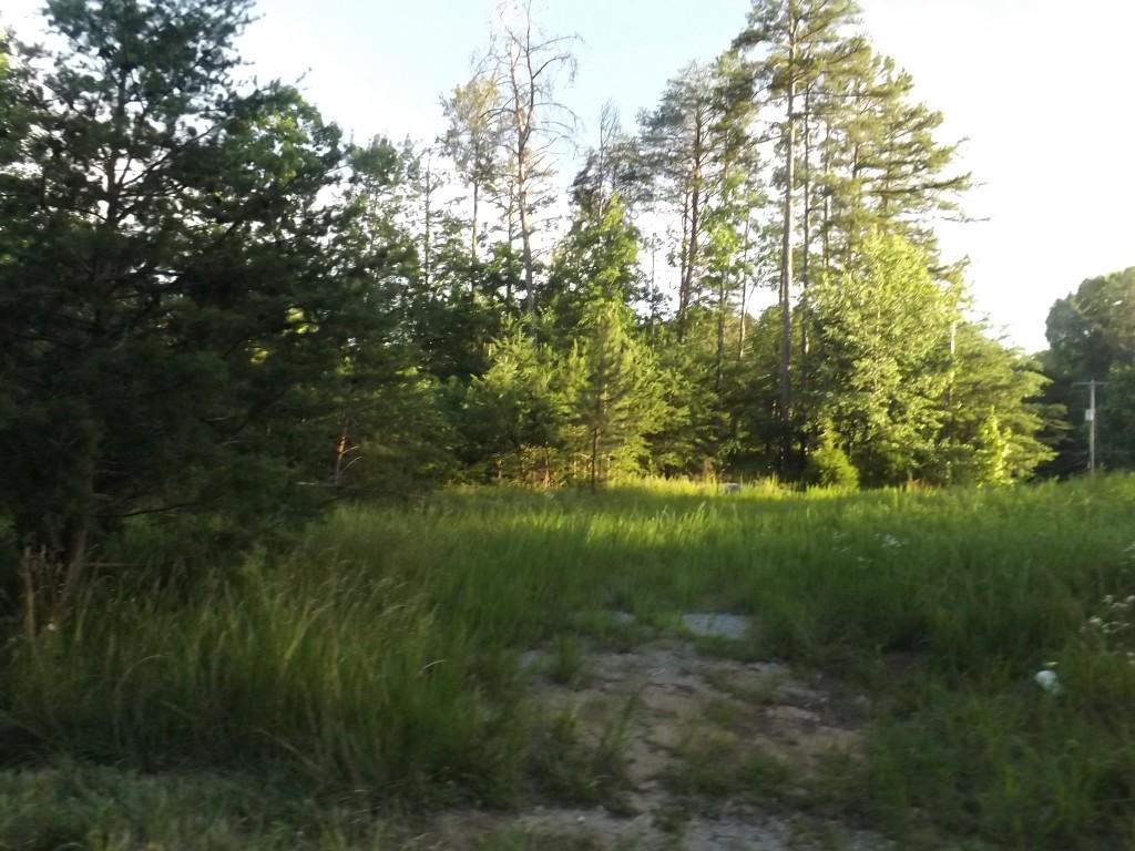 Apollo Drive Spring City, TN 37381 - Photo 8 of 25 DSCF4285 (Medium)