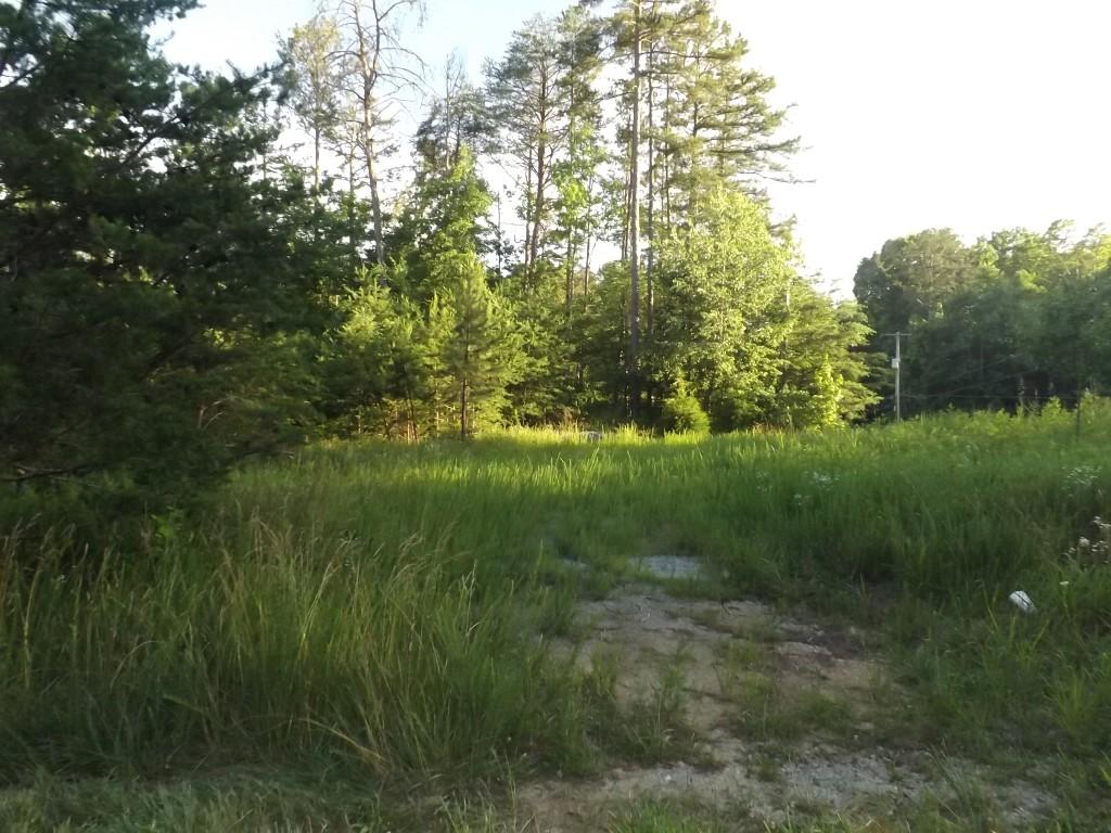 Apollo Drive Spring City, TN 37381 - Photo 9 of 25 DSCF4286 (Medium)