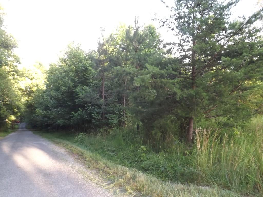 Apollo Drive Spring City, TN 37381 - Photo 10 of 25 DSCF4287 (Medium)