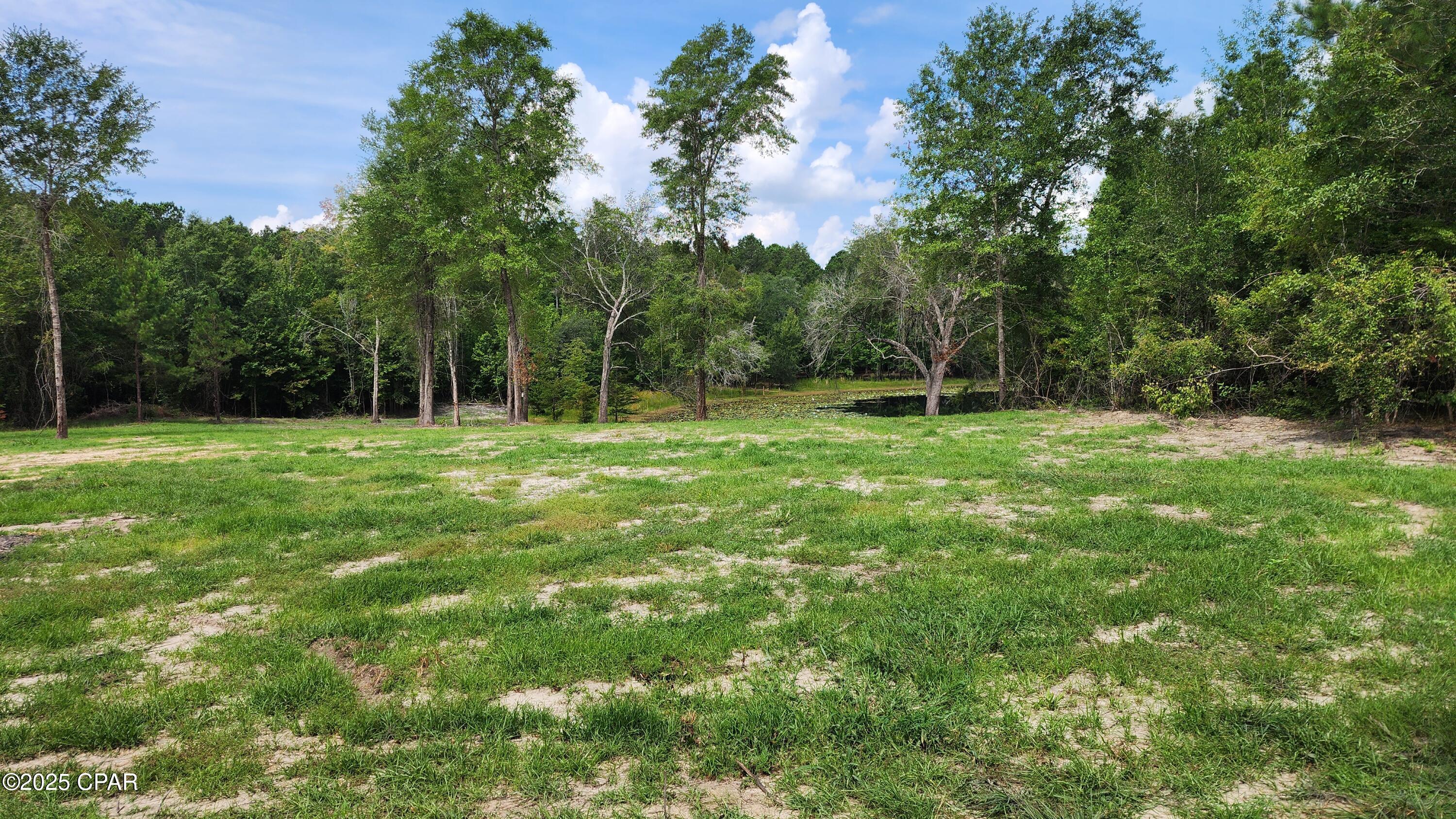 7617 Green Road Sneads, FL 32460 - Photo 4 of 20