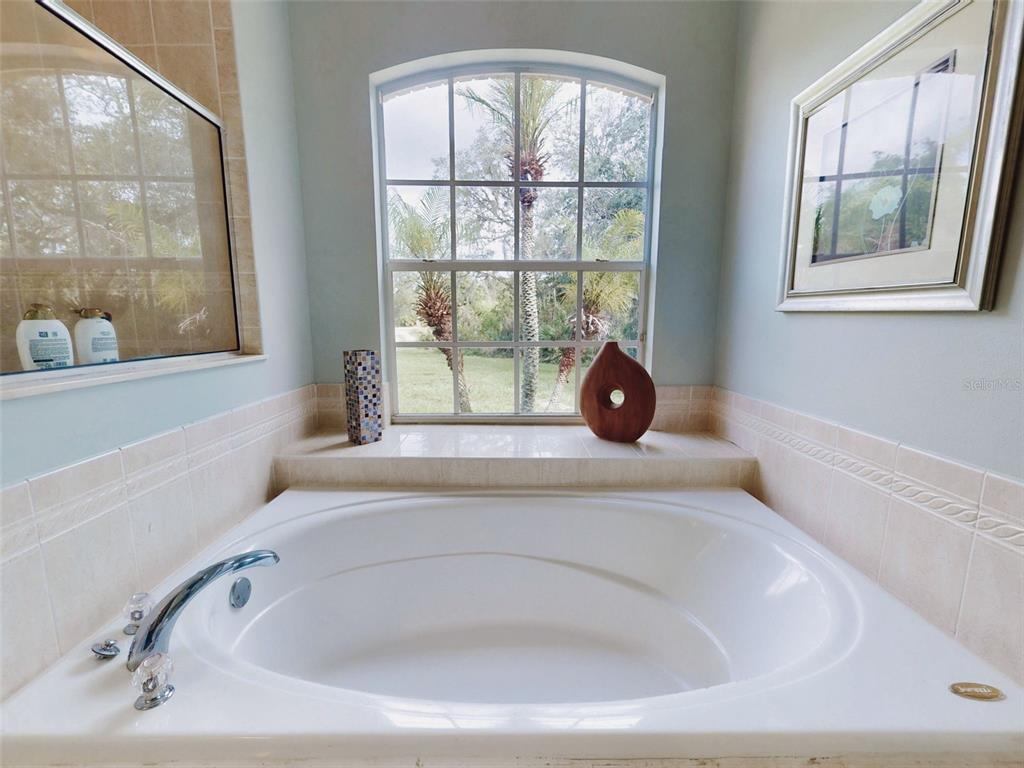 3040 Butler Ridge Road Deltona, FL 32738 - Photo 21 of 66