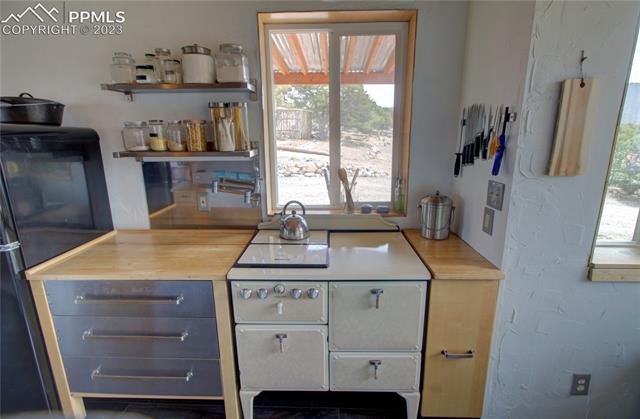 3616 Schieffelin Road Fort Garland, CO 81133 - Photo 19 of 49 Gallery Image 19