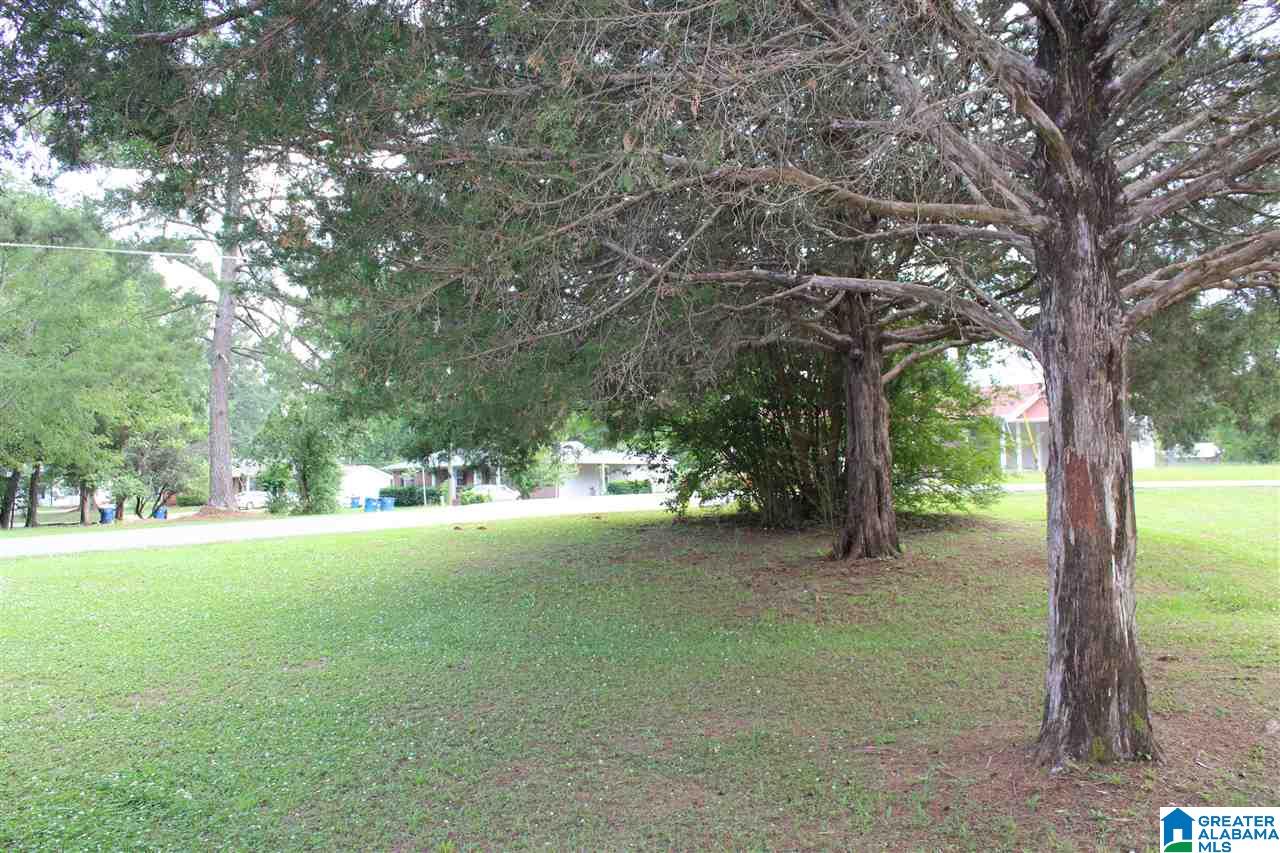317 Adelaide Street Southwest Jacksonville, AL 36265 - Photo 26 of 28