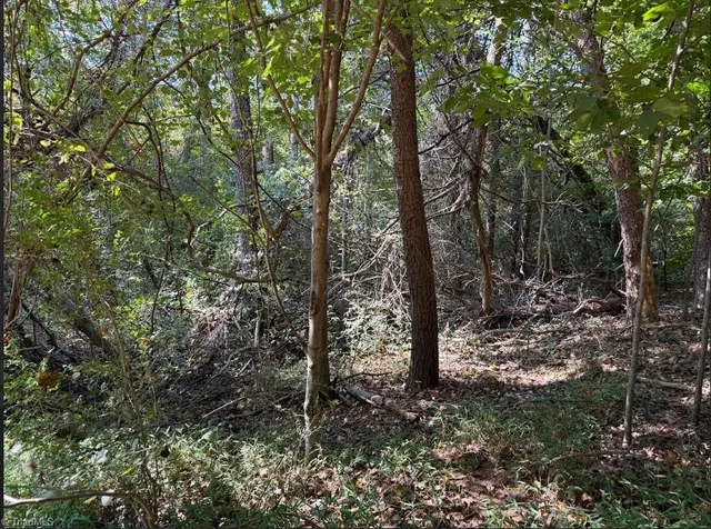 $32,000 | Lot 2 Ruff Hollar Drive, East Bend, NC 27018