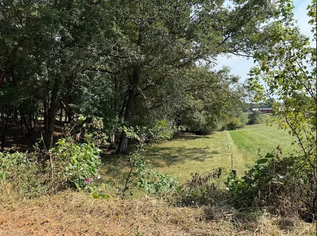 $32,000 | Lot 2 Ruff Hollar Drive, East Bend, NC 27018