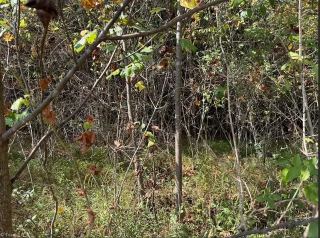 $32,000 | Lot 2 Ruff Hollar Drive, East Bend, NC 27018