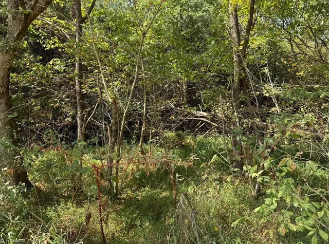 $32,000 | Lot 2 Ruff Hollar Drive, East Bend, NC 27018