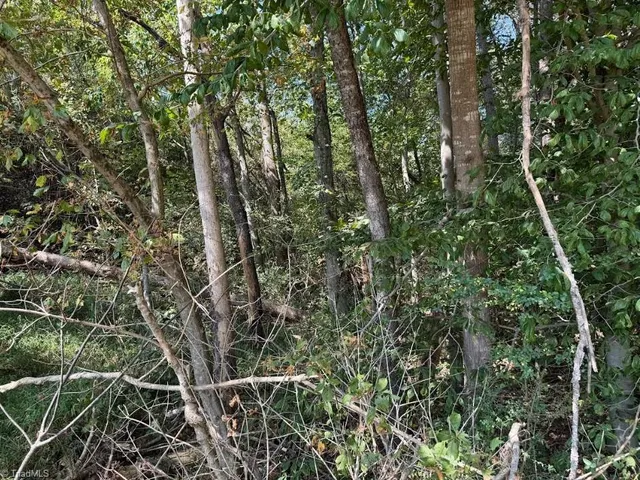 $32,000 | Lot 2 Ruff Hollar Drive, East Bend, NC 27018