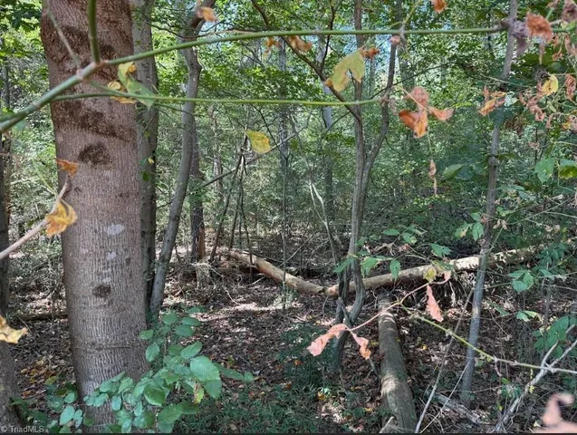 $32,000 | Lot 2 Ruff Hollar Drive, East Bend, NC 27018