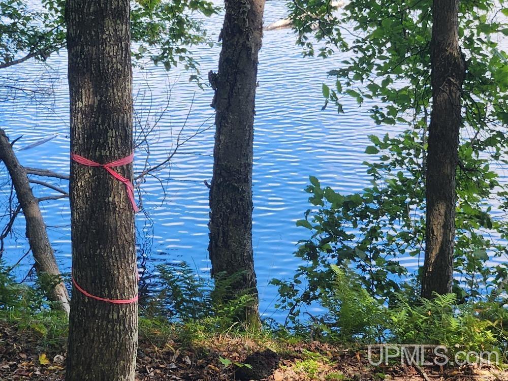 Tbd West Tamarack Lake Road, Unit LOT 5 Watersmeet, MI 49969 - Photo 28 of 66