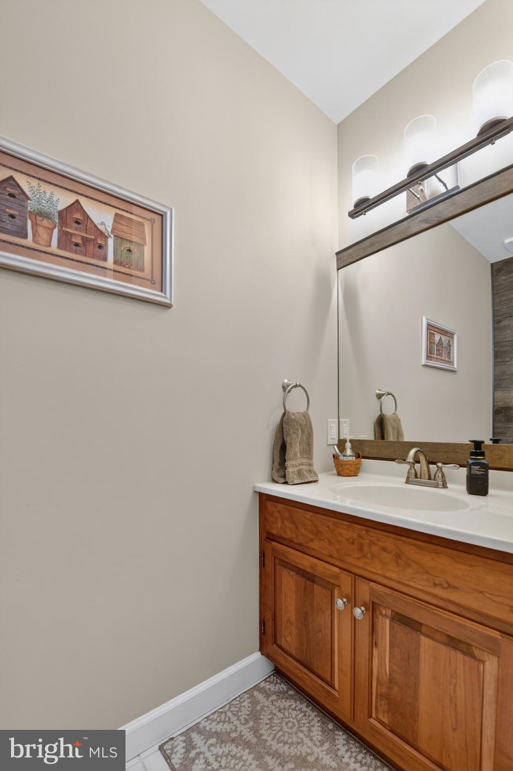 110 Pennsylvania Avenue Sinking Spring, PA 19608 - Photo 21 of 53 a bathroom with a sink and a mirror