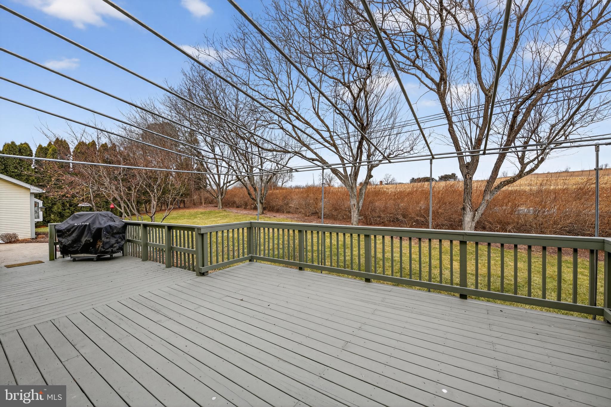 110 Pennsylvania Avenue Sinking Spring, PA 19608 - Photo 41 of 53 a view of a house with a large trees