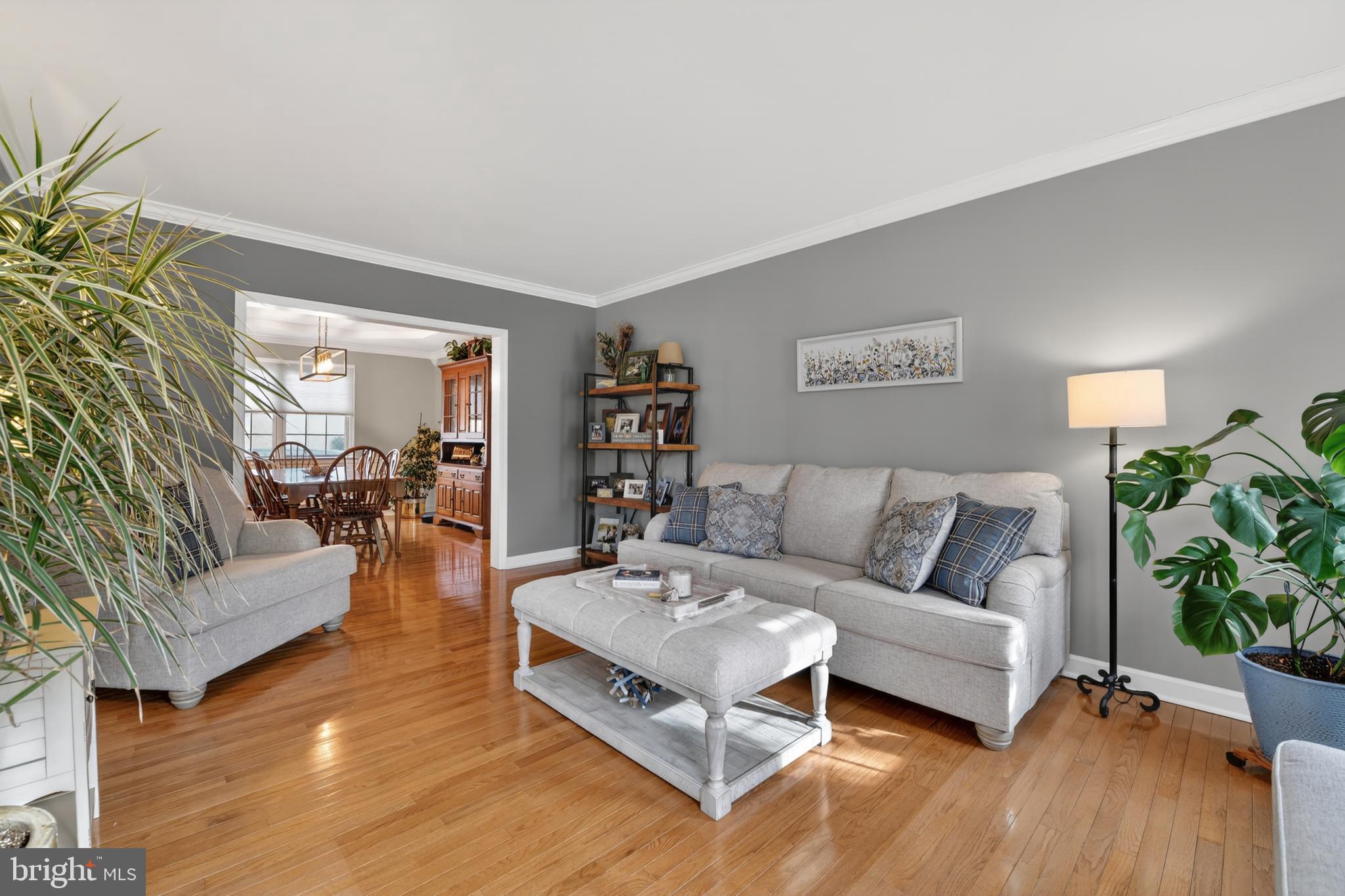 110 Pennsylvania Avenue Sinking Spring, PA 19608 - Photo 7 of 53 a living room with furniture and a wooden floor