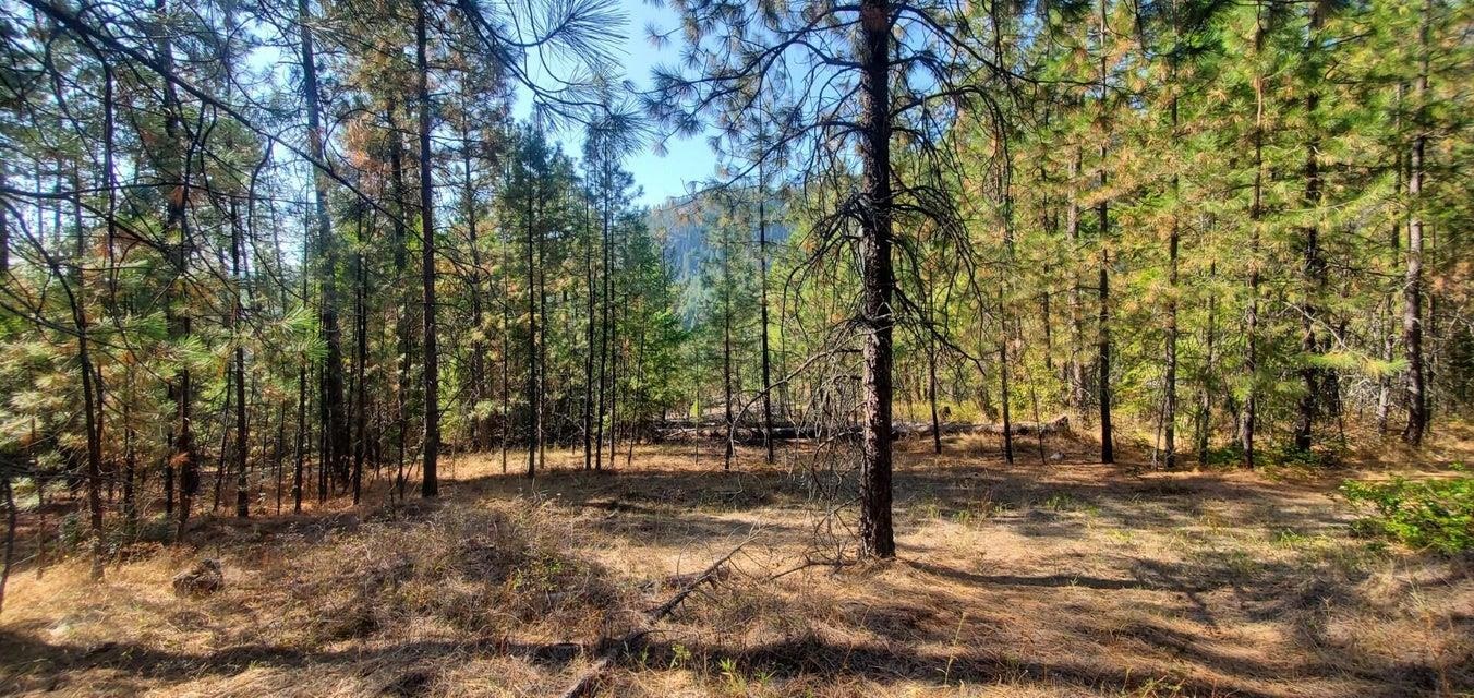 3733-xx Sand Creek Road Kettle Falls, WA 99141 - Photo 3 of 10