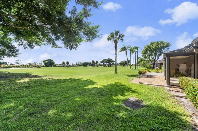 a view of a park with large trees