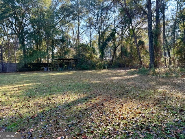 822 North Lewis Street Metter, GA 30439 - Photo 16 of 19 a backyard of a house with lots of green space