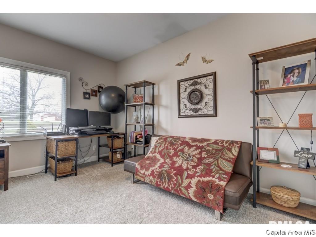 1304 Archer Elevator Road Springfield, IL 62711 - Photo 17 of 36