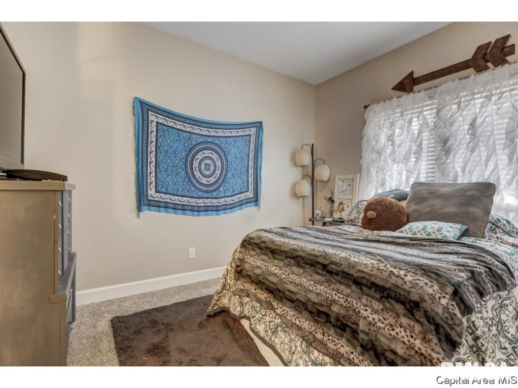 1304 Archer Elevator Road Springfield, IL 62711 - Photo 20 of 36