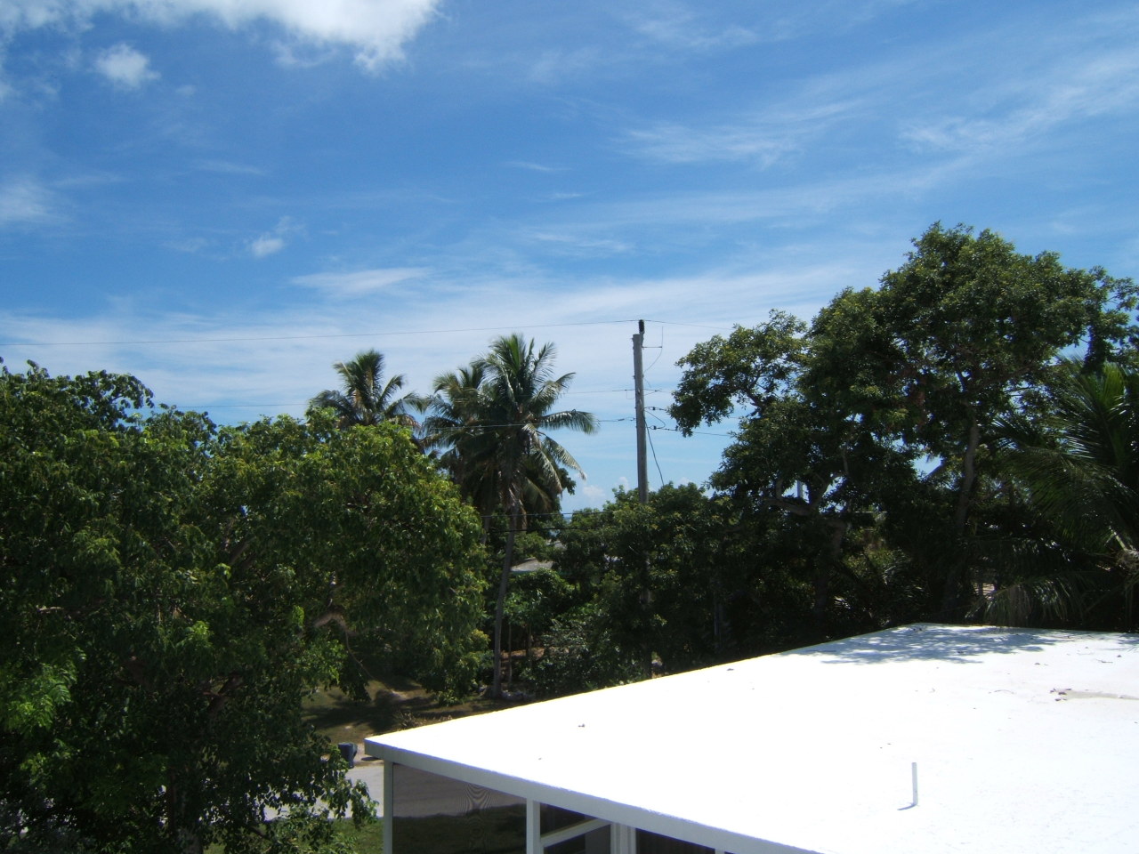 186 East Ridge Road Islamorada, FL 33036 - Photo 1 of 15 Roof View