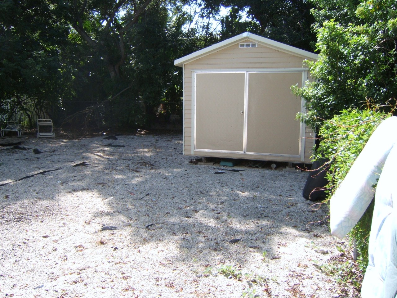 186 East Ridge Road Islamorada, FL 33036 - Photo 6 of 15 Shed-back yard