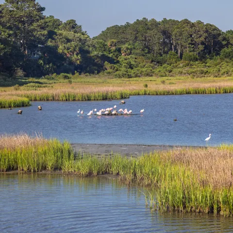 $1,275,000 | 226 Old House Lane, Dewees Island, SC 29429
