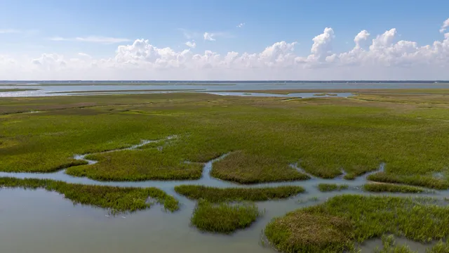 $1,275,000 | 226 Old House Lane, Dewees Island, SC 29429