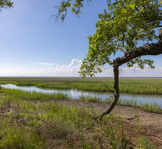 $1,275,000 | 226 Old House Lane, Dewees Island, SC 29429