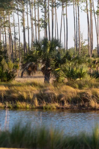 $6,499,000 | 809 Roddin Street, Daniel Island, SC 29492