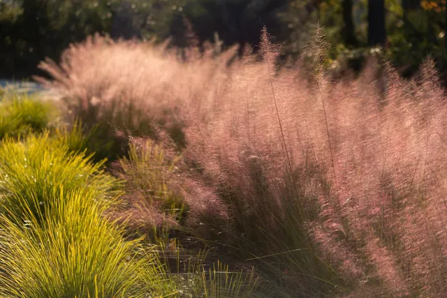 $6,499,000 | 809 Roddin Street, Daniel Island, SC 29492