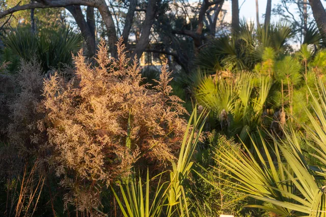 $6,499,000 | 809 Roddin Street, Daniel Island, SC 29492