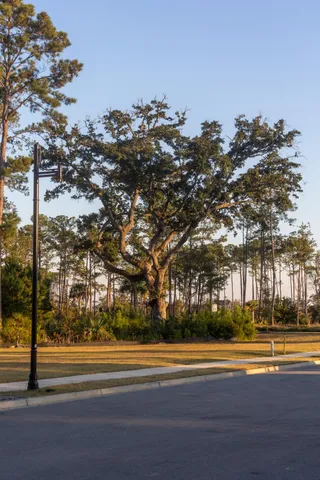 $6,499,000 | 809 Roddin Street, Daniel Island, SC 29492