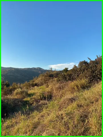 a view of a field with a bench and trees in the background
