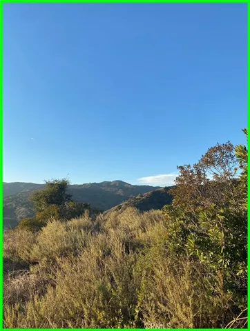 an aerial view of houses covered in trees