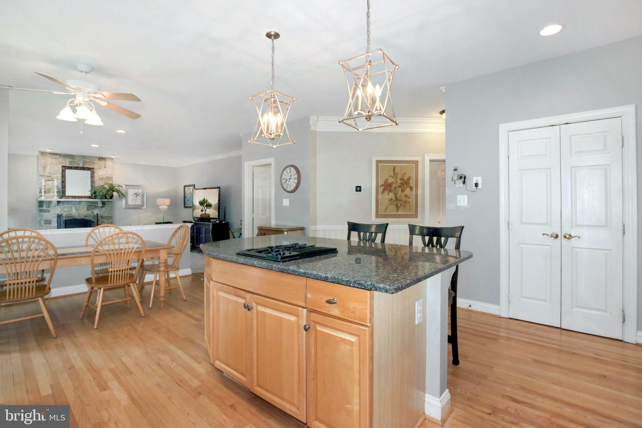 18223 Wickham Road Olney, MD 20832 - Photo 12 of 48 Gourmet Kitchen