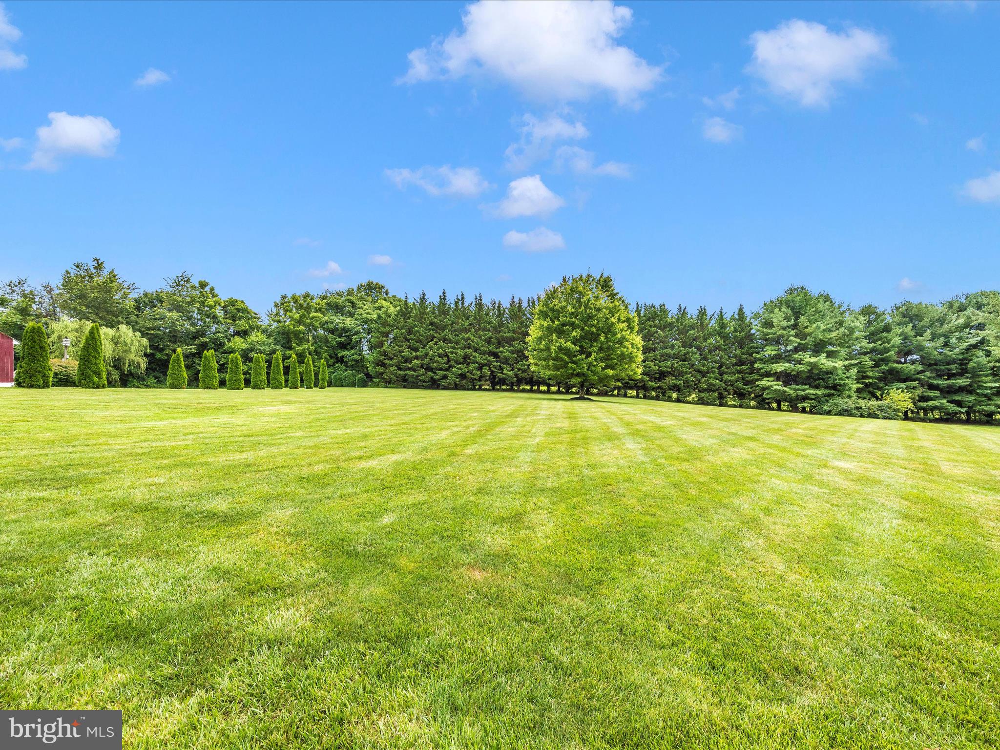 1865 Florence Road Mount Airy, MD 21771 - Photo 131 of 144 Backyard