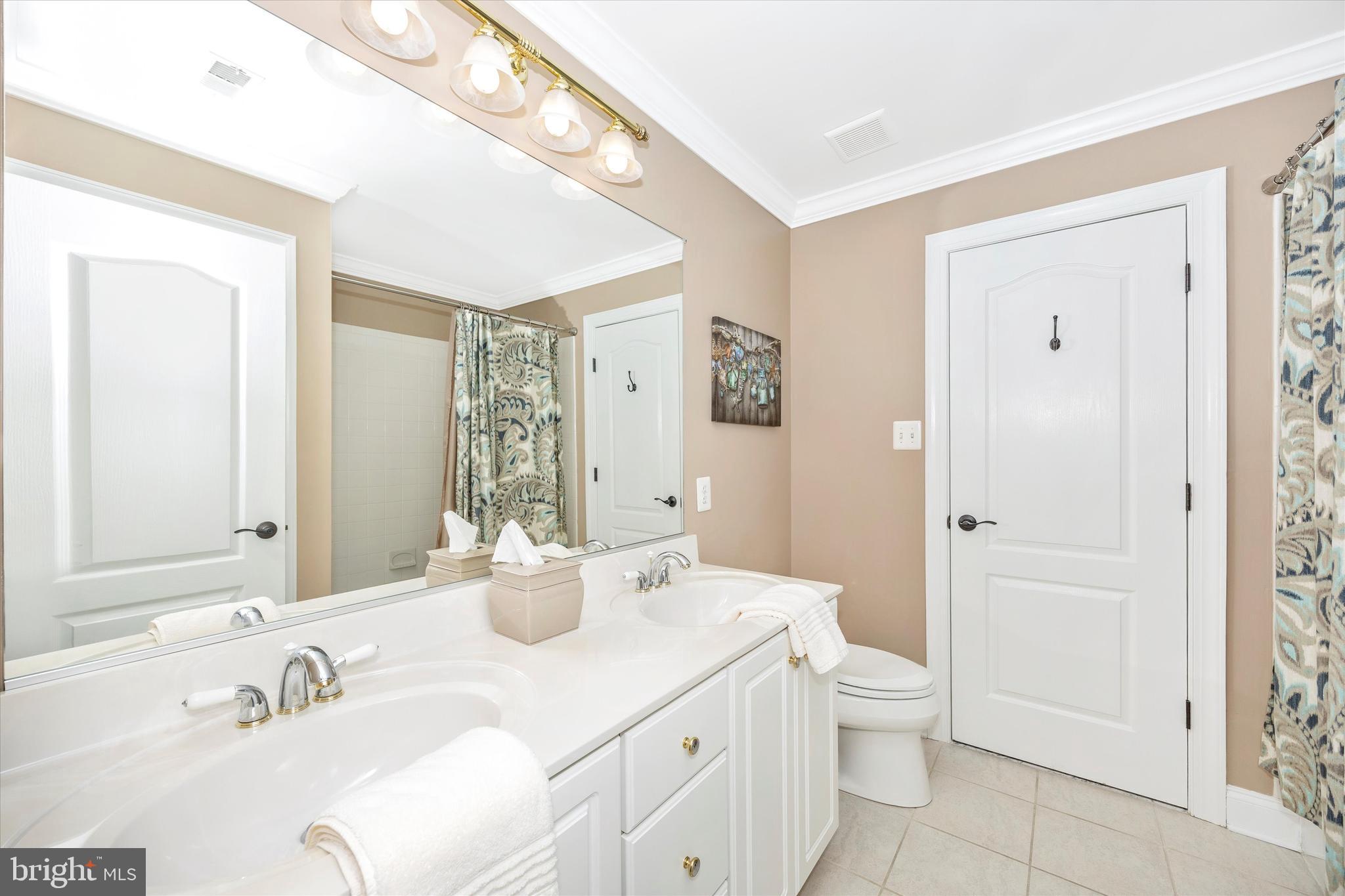 1865 Florence Road Mount Airy, MD 21771 - Photo 35 of 144 a bathroom with a double vanity sink mirror and toilet