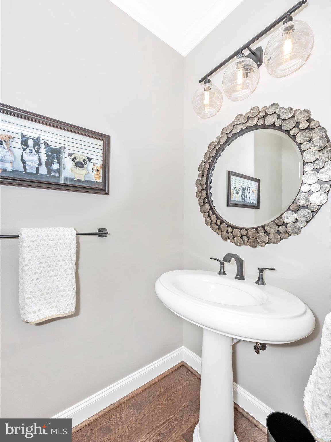 1865 Florence Road Mount Airy, MD 21771 - Photo 83 of 144 a bathroom with a sink and a mirror