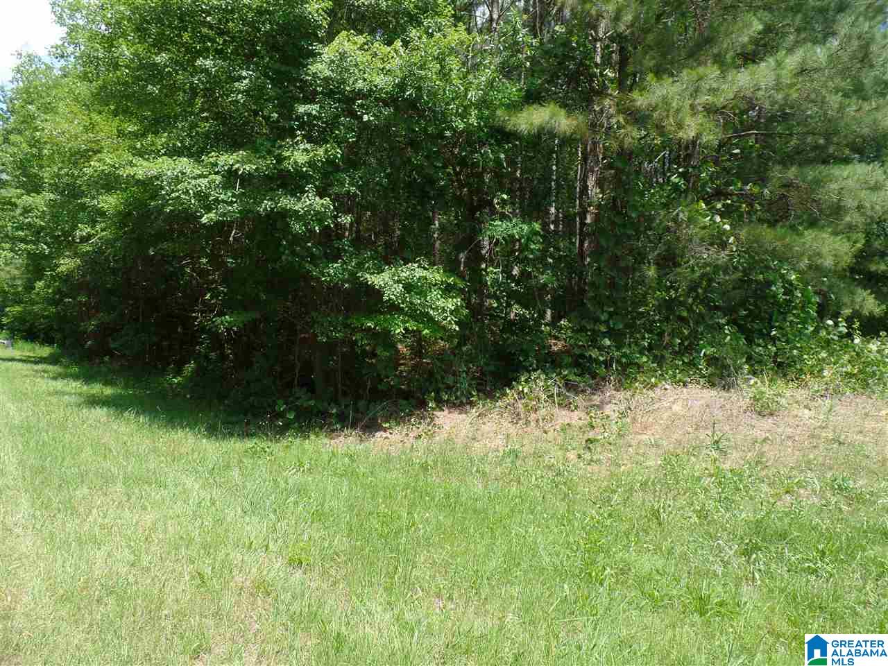 457 County Road, Unit 5 Heflin, AL 36264 - Photo 4 of 20