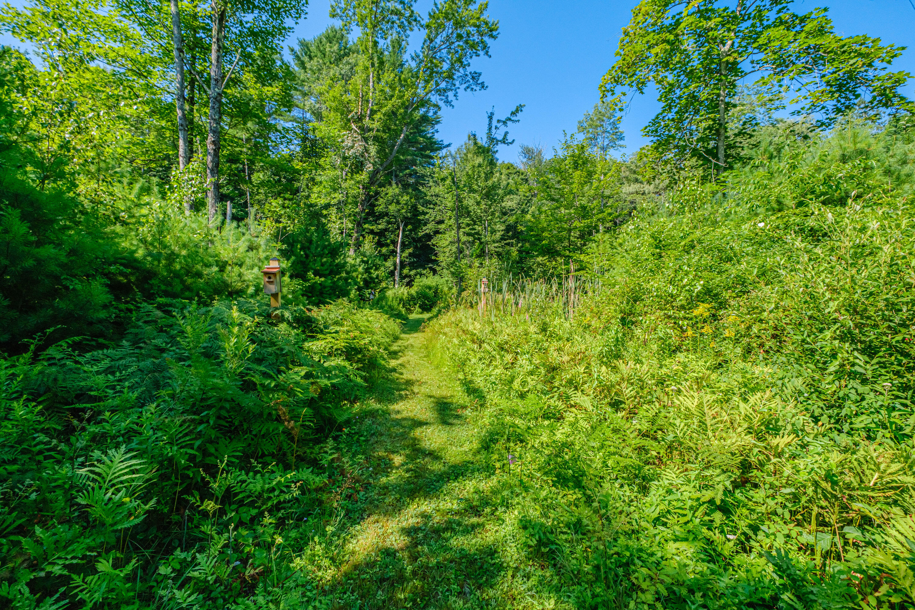 40 Old Elm Road Bridgton, ME 04009 - Photo 70 of 78 20250729gp-60111