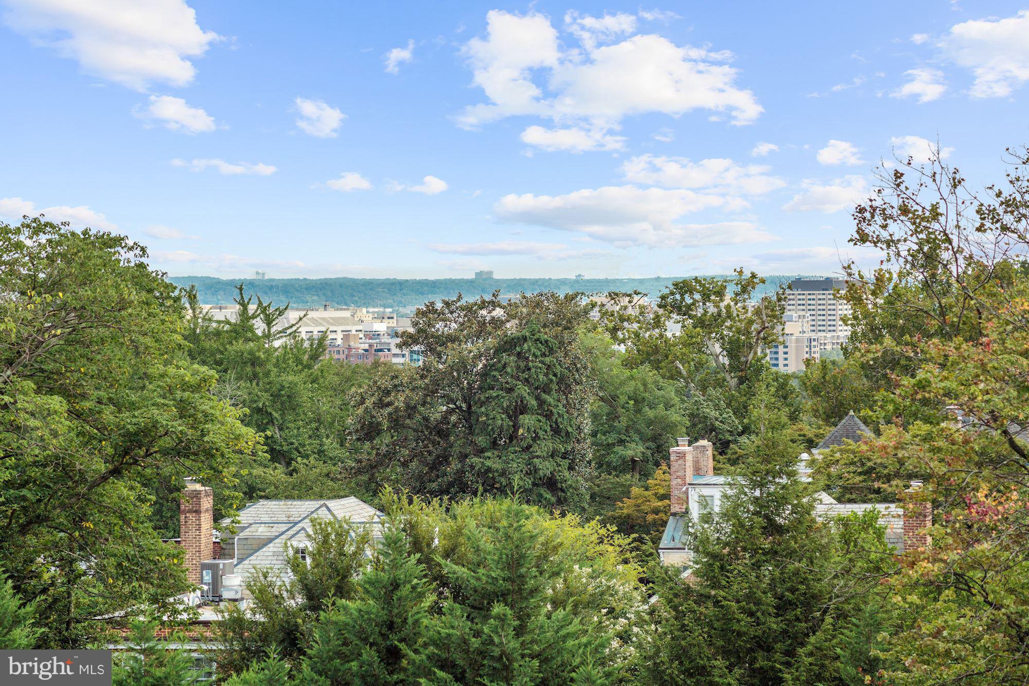 3052 R Street Northwest, Unit 301 Washington, DC 20007 - Photo 18 of 30 a view of a city with lots of trees