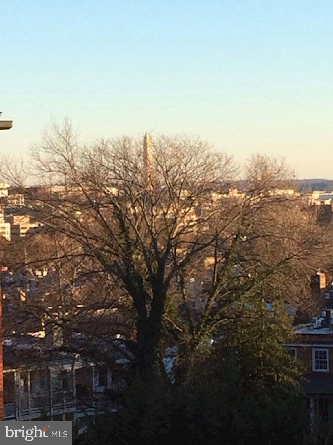 3052 R Street Northwest, Unit 301 Washington, DC 20007 - Photo 19 of 30 a view of city and mountain